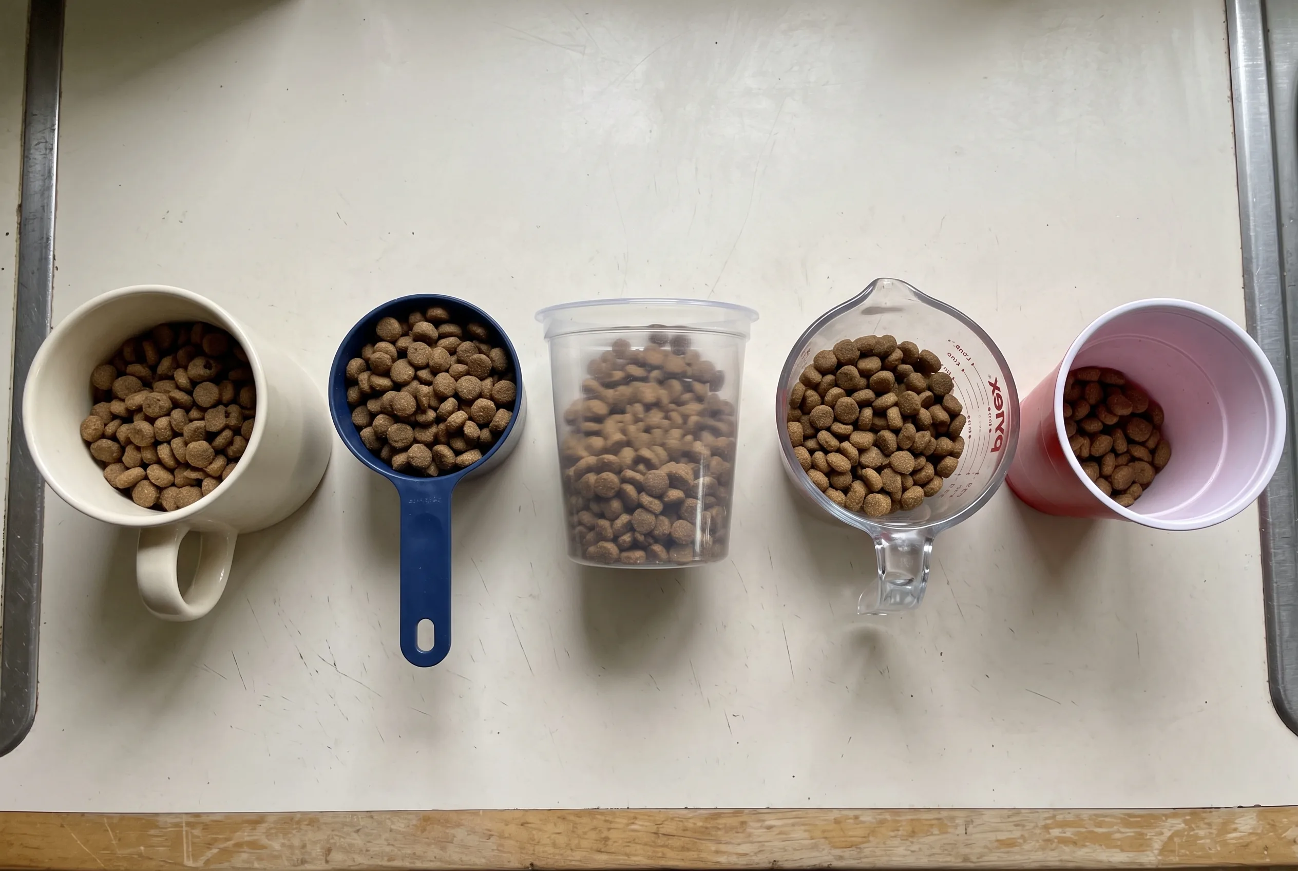 Five different everyday containers on a counter, each filled with kibble to a different level